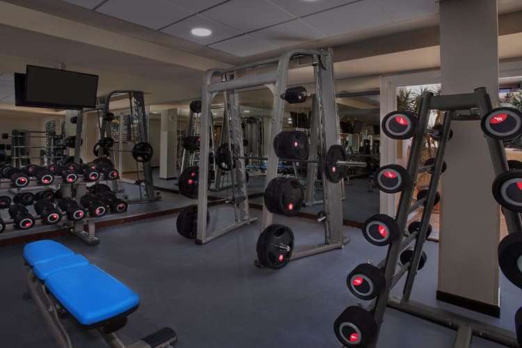 Gym equipment